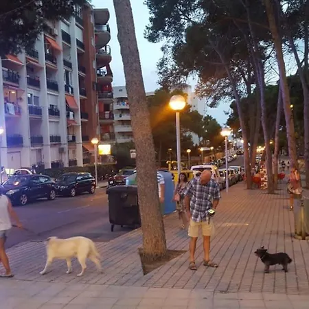 In Salou. Beach Relax Hutt-033474-91 Salou